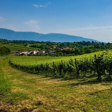 Nella Natura Del Parco Dei Colli Euganei