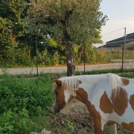 Nella Natura Del Parco Dei Colli Euganei *