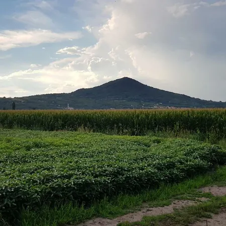 Nella Natura Del Parco Dei Colli Euganei Feriehus *